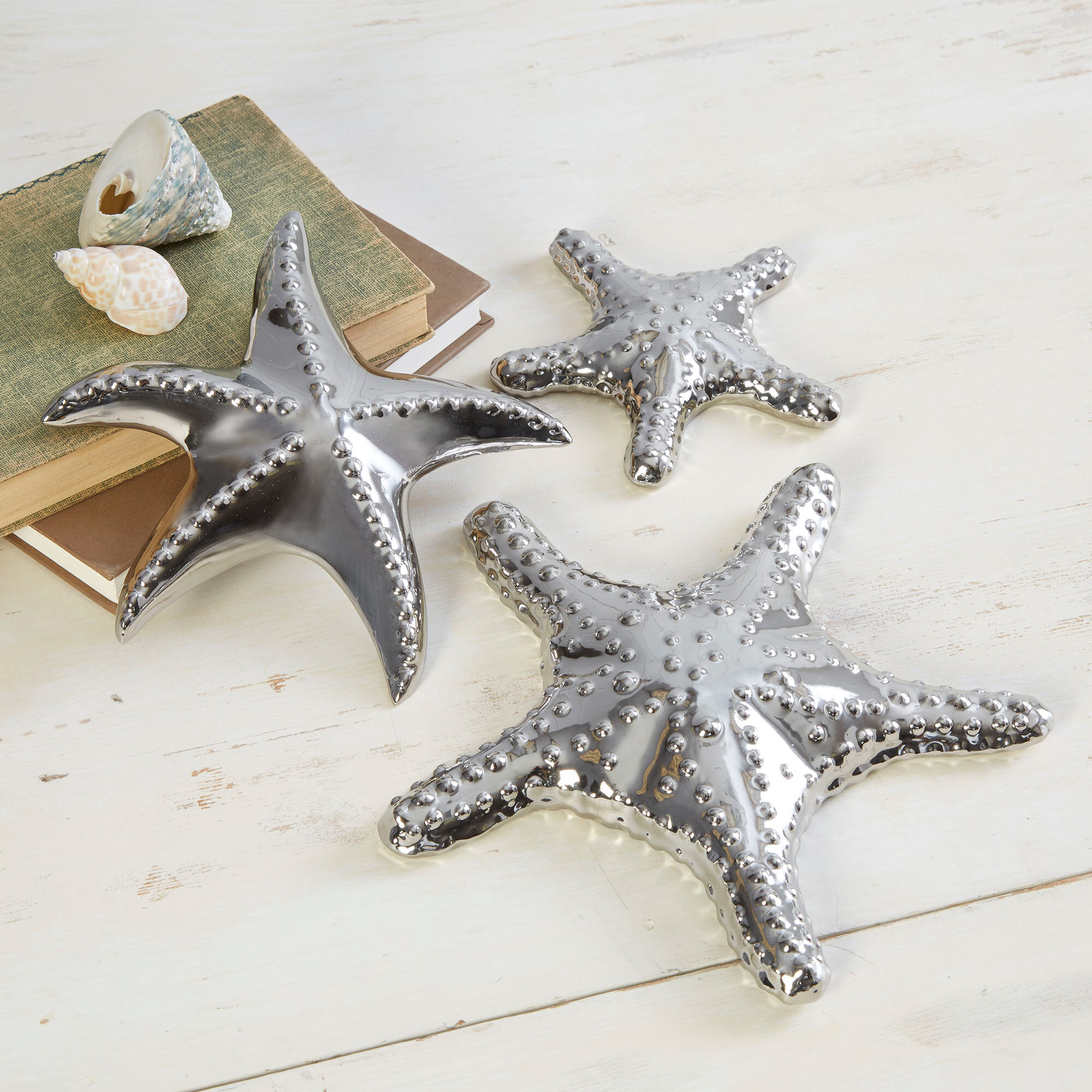 Bloomsdale Starfish Decor Reviews Birch Lane