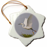 Texas Ornament Wayfair