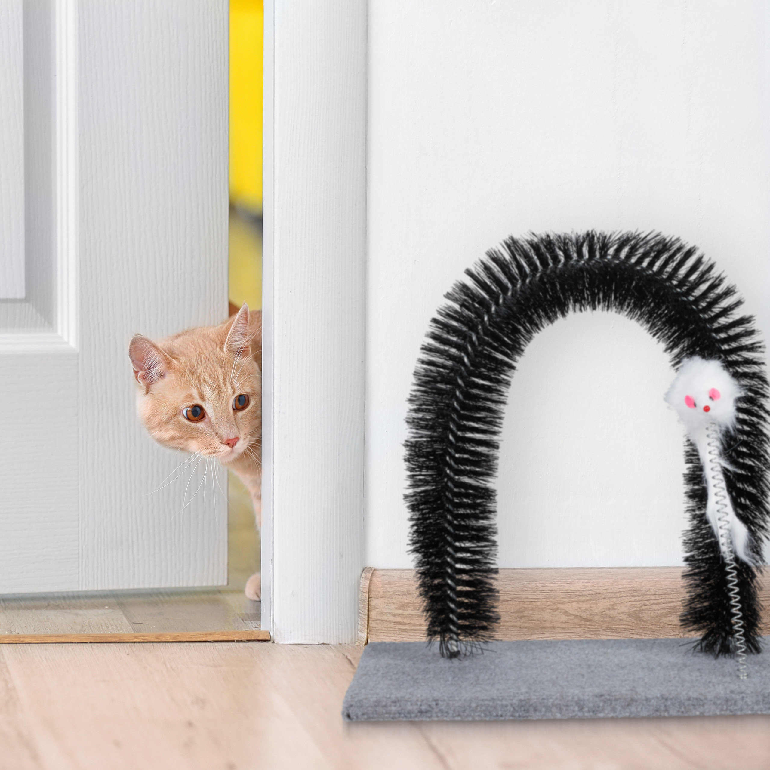 cat arch scratcher post