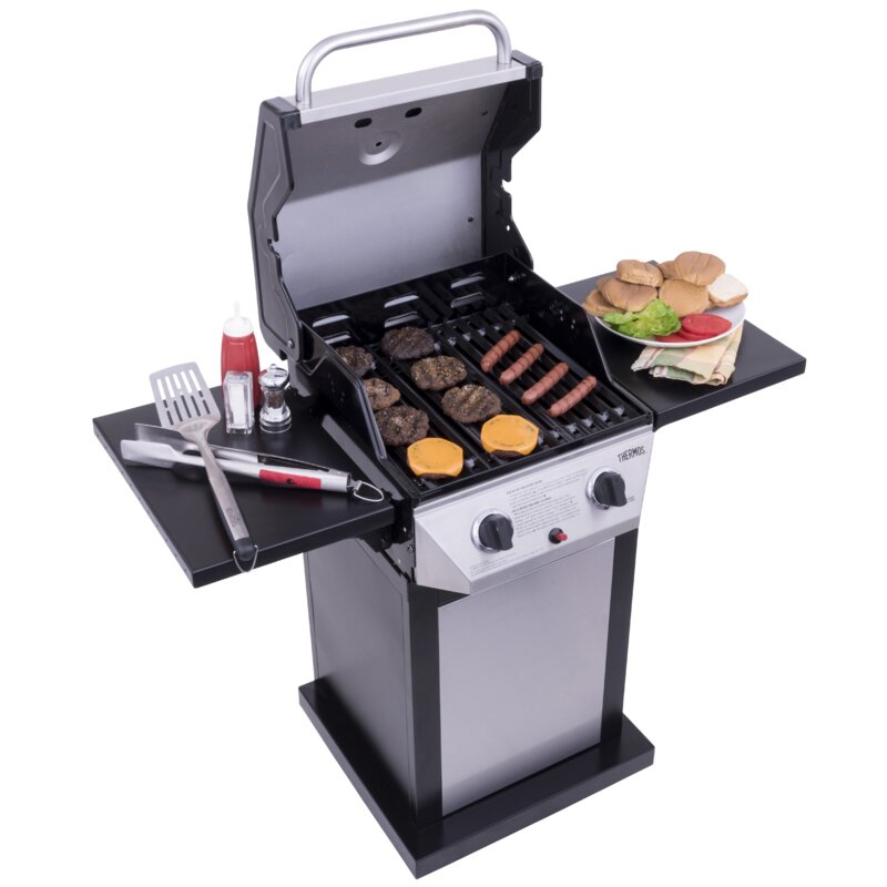 Thermos 2 Burner Propane Gas Grill Reviews Wayfair