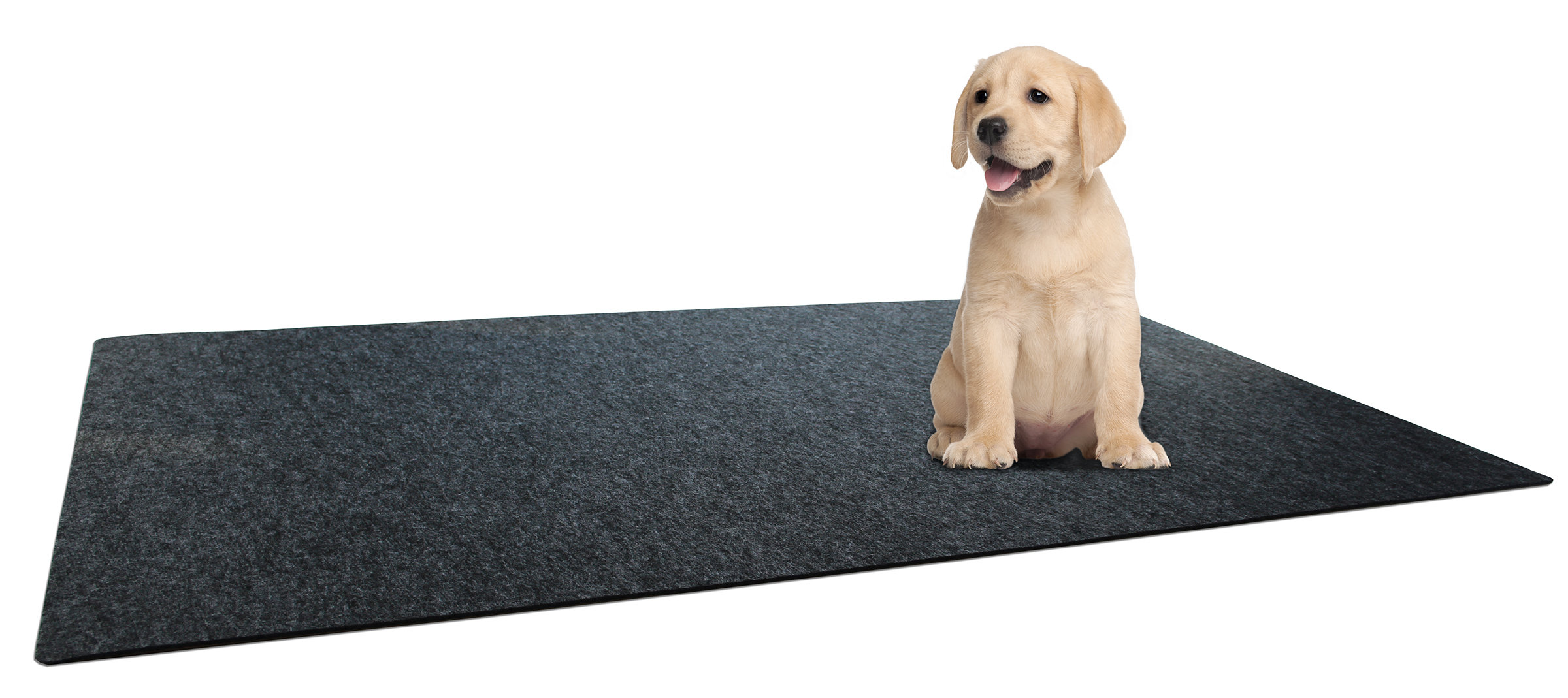 heavy duty dog mat