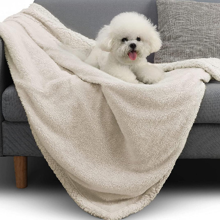 dog tie blanket