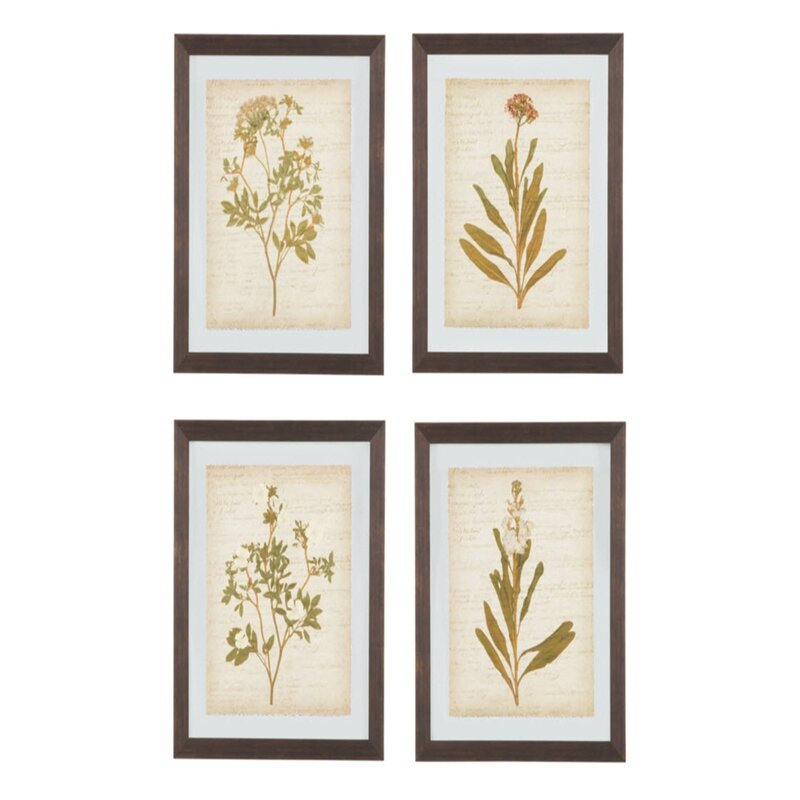 4 Piece Framed Painting Print Set & Reviews | Birch Lane