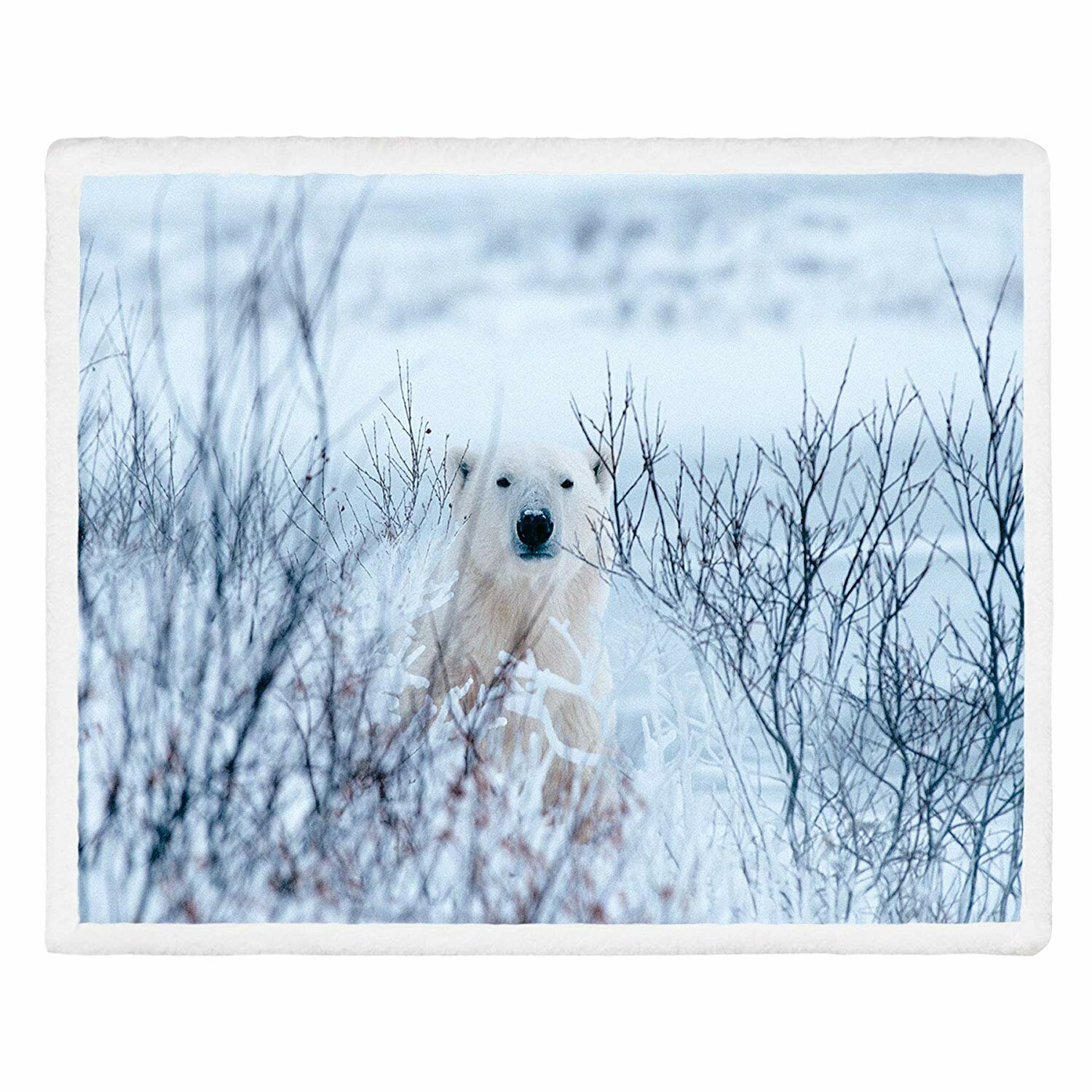 white christmas polar bears