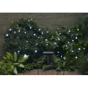 Solar 30-Light 8 ft. Fairy String Lights