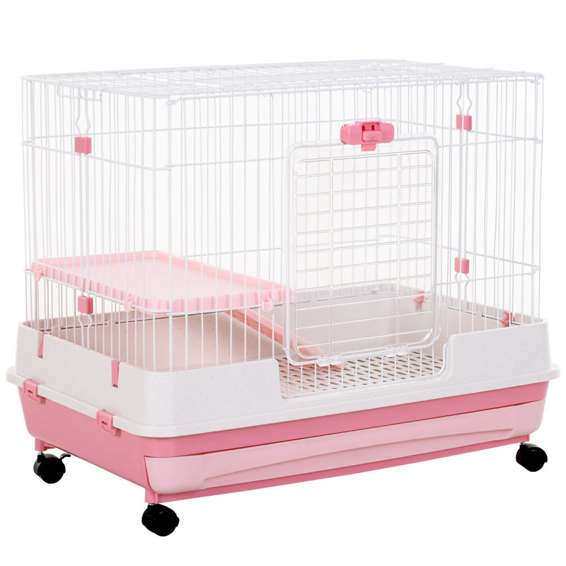 Wayfair small animal cage clearance