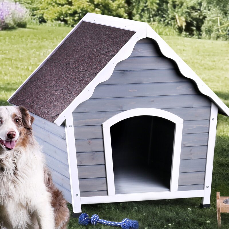 contemporary dog house
