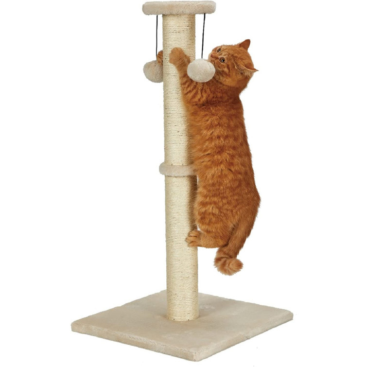 wayfair cat post