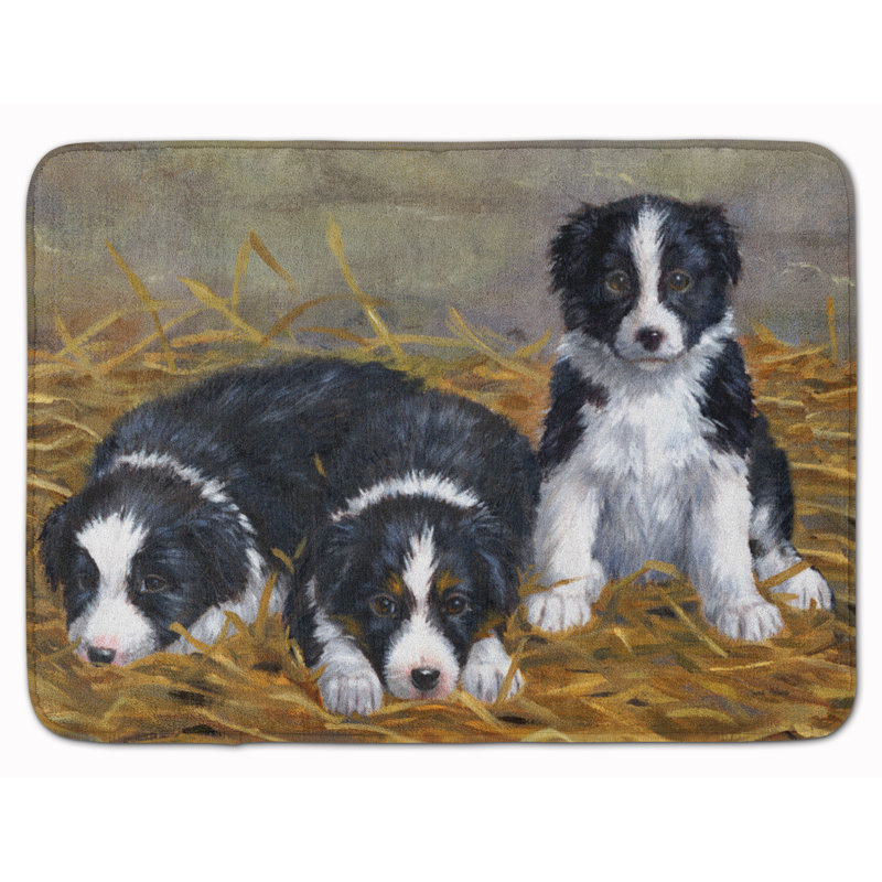 East Urban Home Border Collie Puppies Rectangle Microfiber Non Slip Bath Rug Wayfair