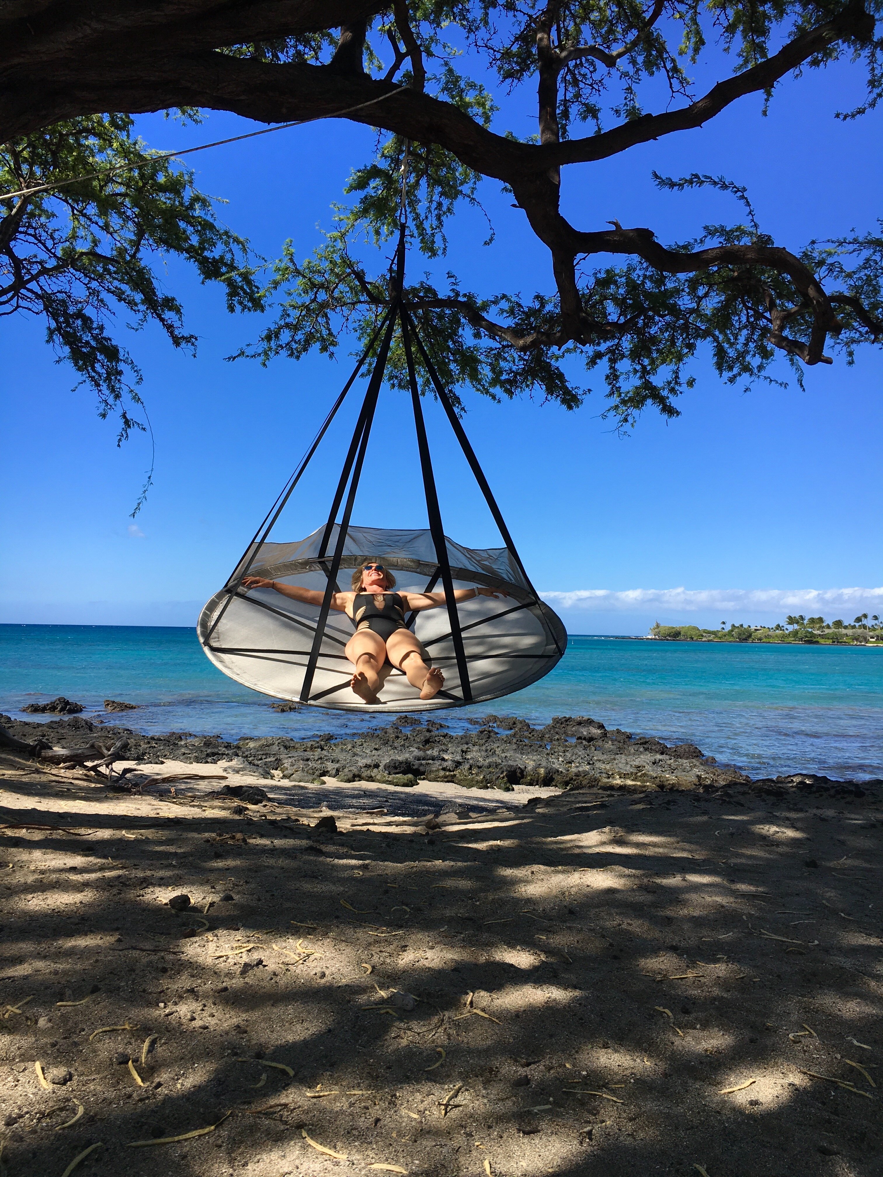 flying saucer hammock with stand