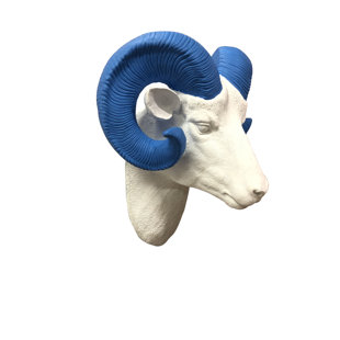 Ram Head Wall Decor Wayfair Faux Taxidermy Ram Head Wall Décor
