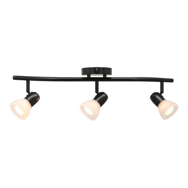 light track fixture