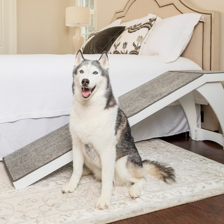 dog ramp for loft bed