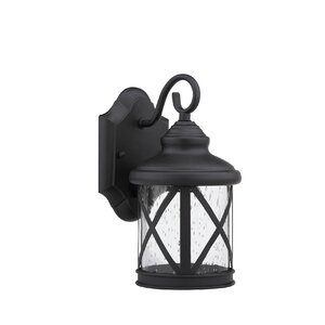 Carole 1-Light Outdoor Wall Lantern