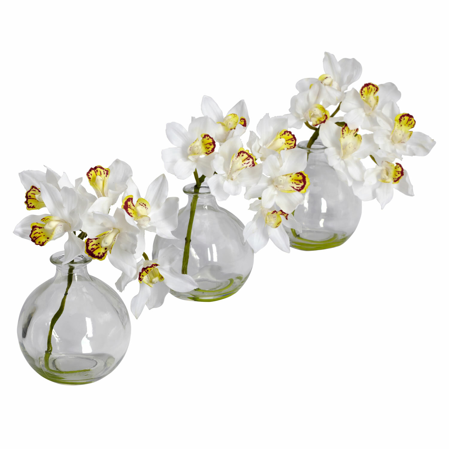 Cymbidium Orchid Floral Arrangement In Vase Reviews Birch Lane