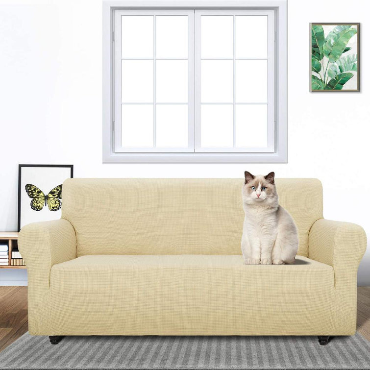 dog friendly couch covers