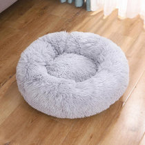 elevated dog bed with stairs