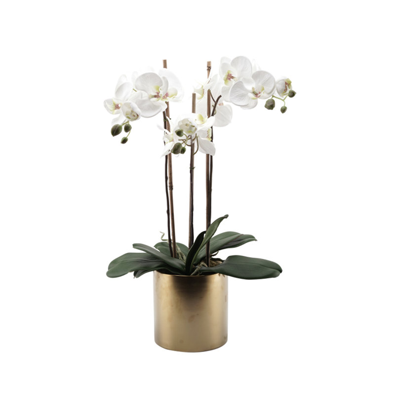Bloomsbury Market Faux Triple Phalaenopsis Orchid Floral Arrangement In Ceramic Vase Reviews Wayfair