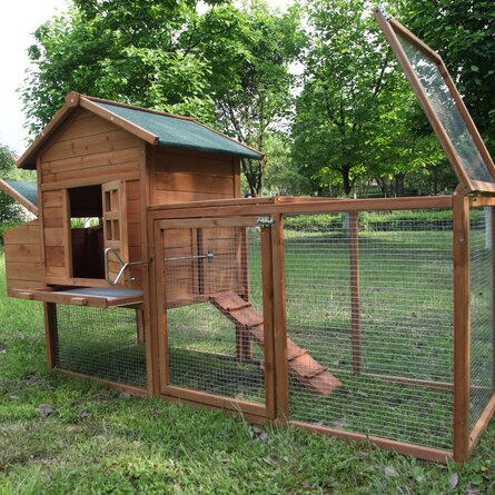 Zebediah Chicken Coop with Chicken Run For Up To 2 Chickens