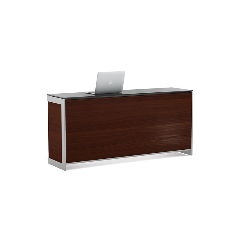 Sequel 24.5" H x 13.5" W Desk Privacy Panel