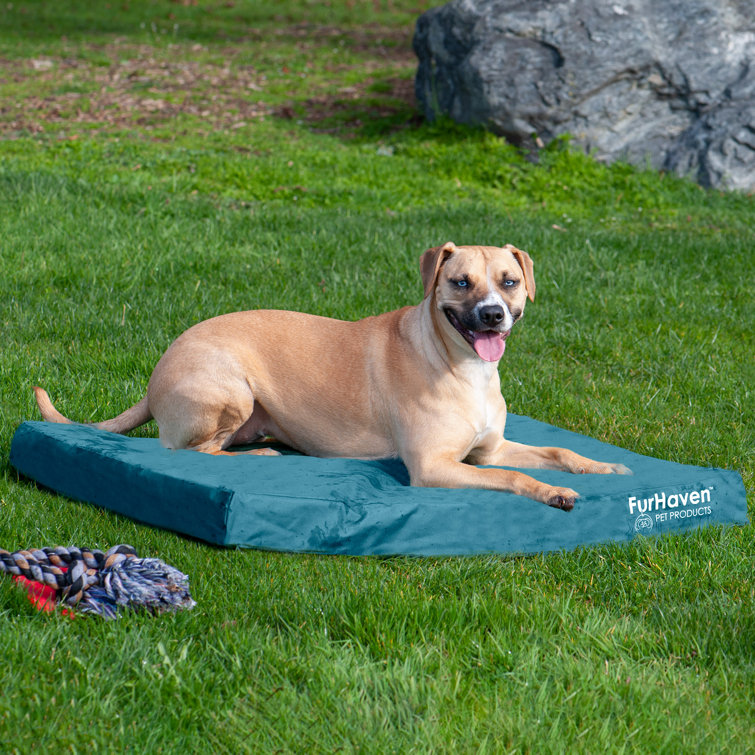 coussin orthopédique