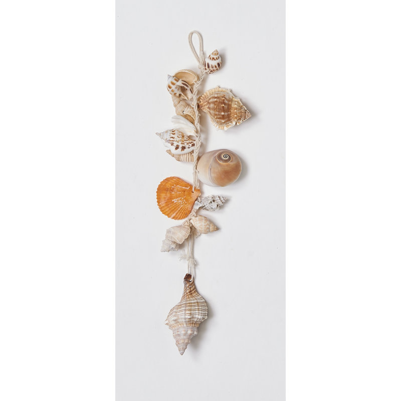 Wallpaper Highland Dunes Hanging Shell Strand Wall Decor Reviews Wayfair For Android Free