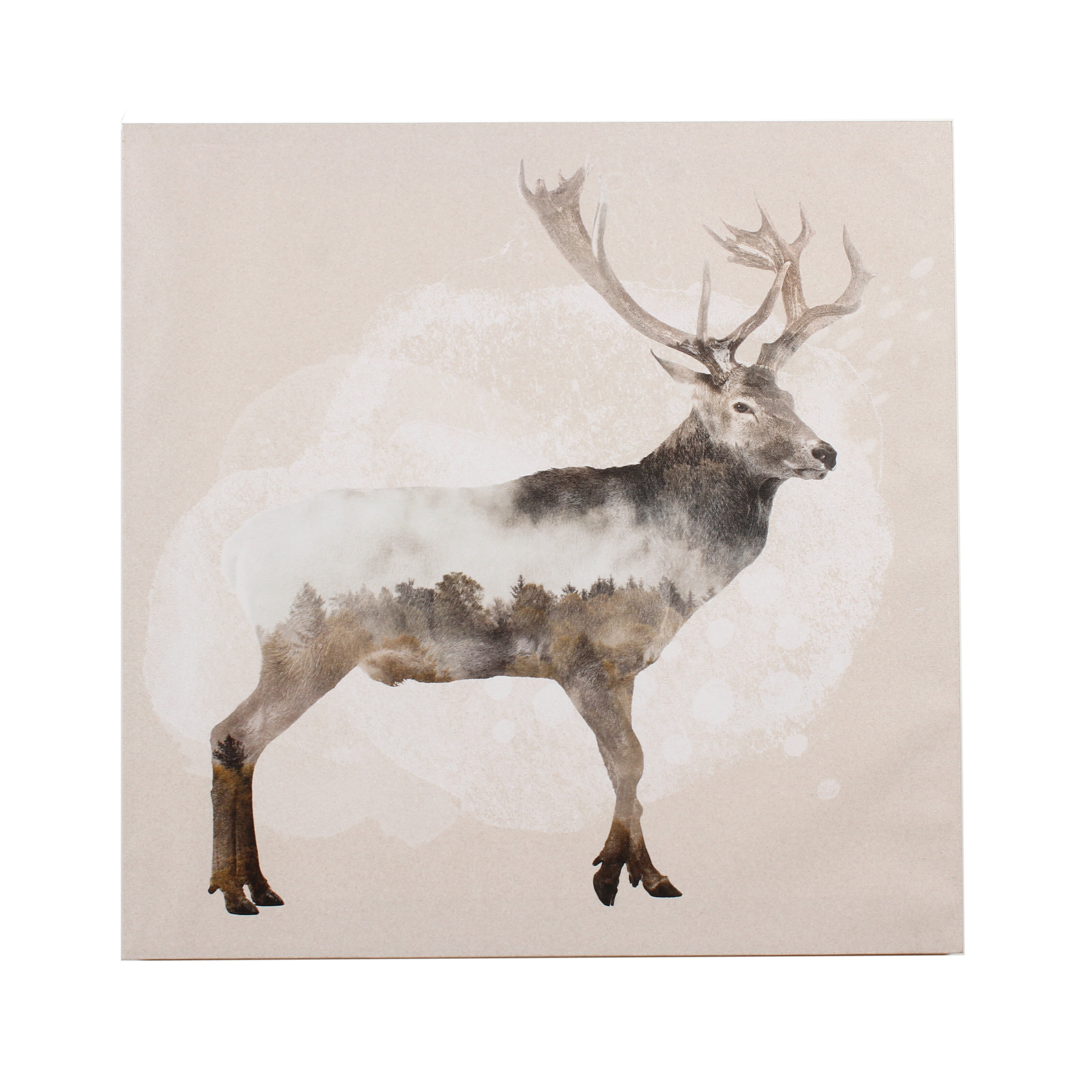 Colourful Stag Wall Art Printed Canvas Stretched Over A Solid Pine Frame