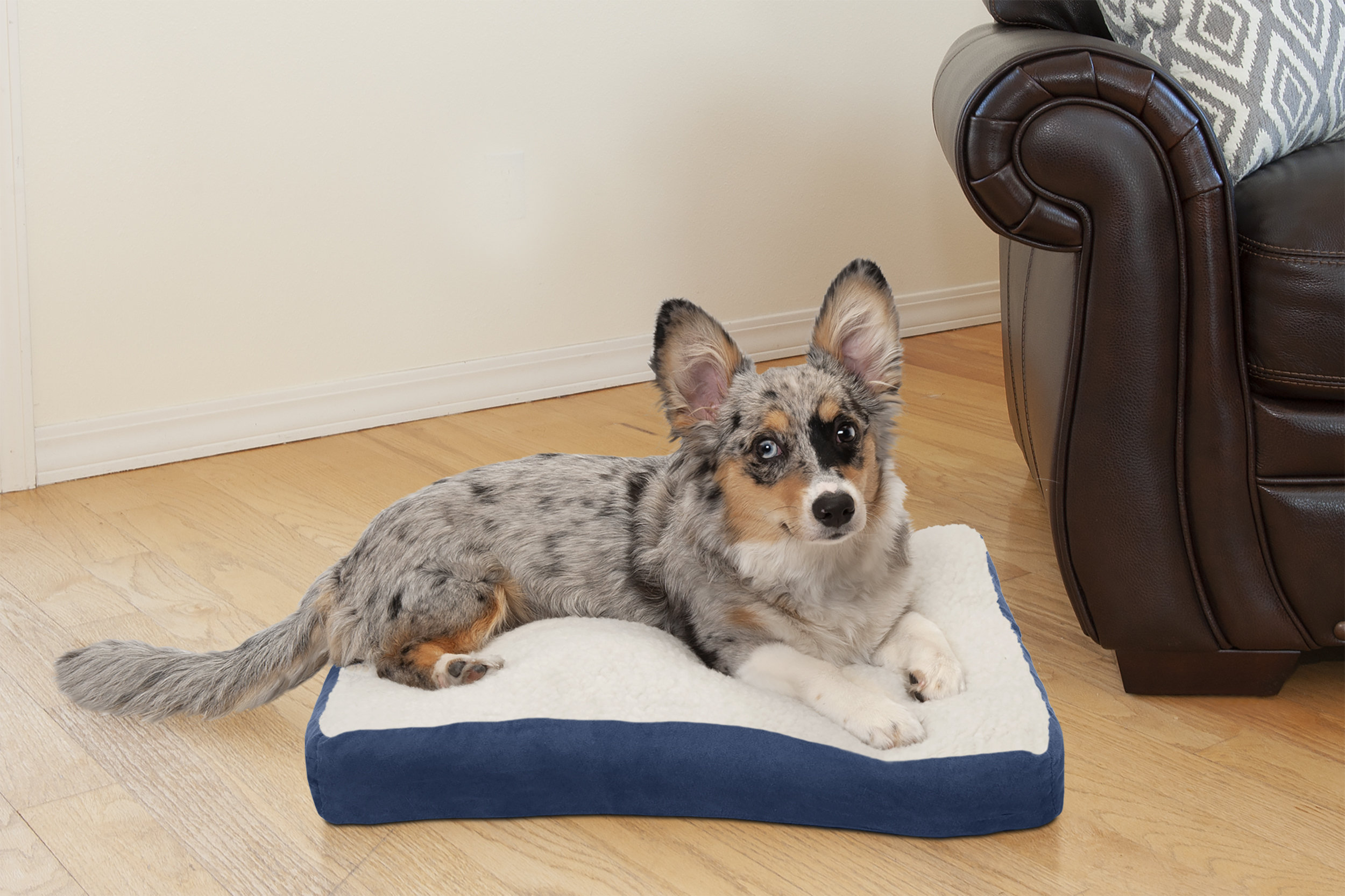 wayfair pet beds
