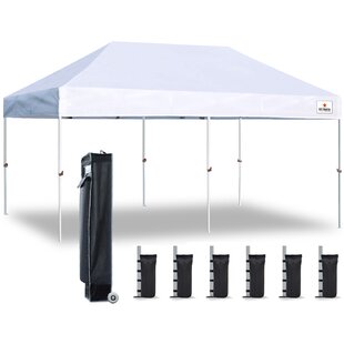 Carry Bag Outdoor Portable Party Waterproof Picnic Ez Sun Shelter w/Removable Sidewalls&Church Window Ropes Commercial Instant Enclosed Event Canopies Stakes Pirecart 10FTx10FT Pop Up Canopy Tent 