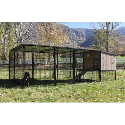 metal dog kennels and runs