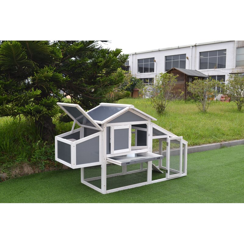 Bivins Chicken Coop With Tray