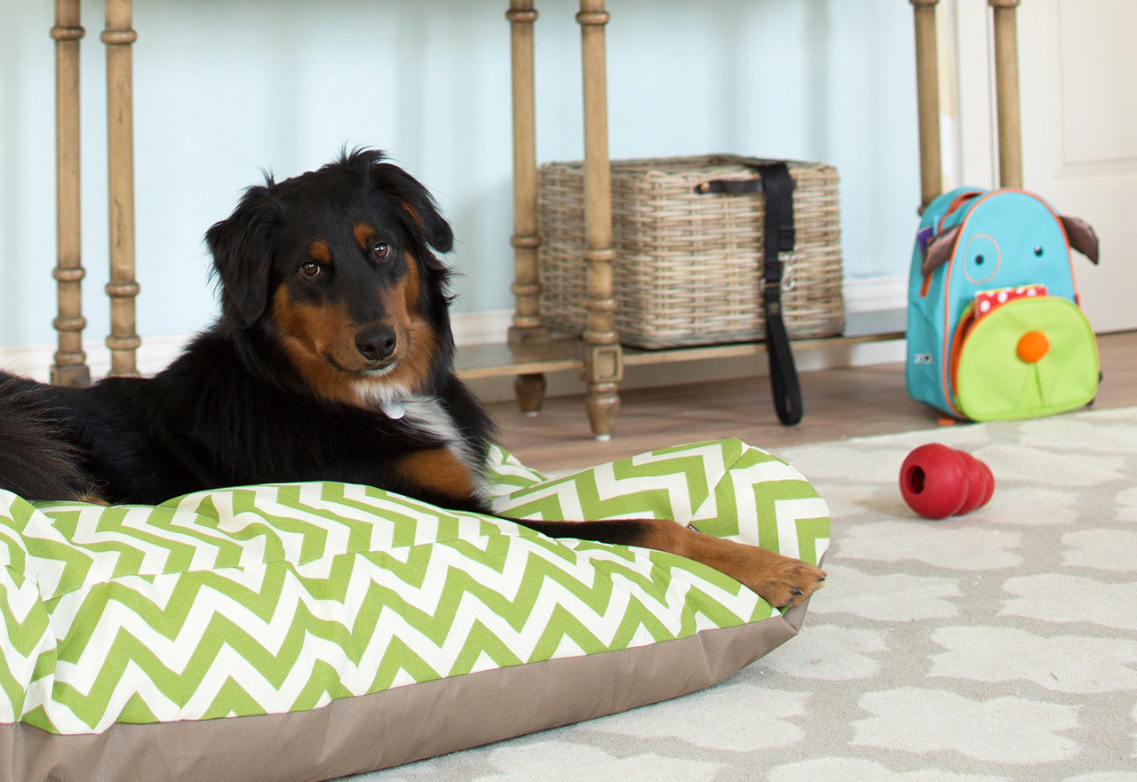 [BIG SALE] Ruff & Tuff Durable Dog Beds You’ll Love In 2020 Wayfair