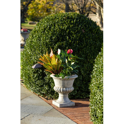  Sonje Jonze Urn Planter