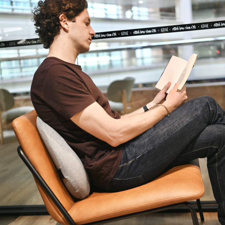 lumbar support cushion for sofa
