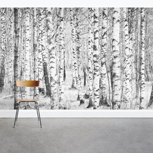 White Birch Tree Wallpaper Wayfair Snow Covered Birch Tree 8 X 144 3 Piece Wall Mural