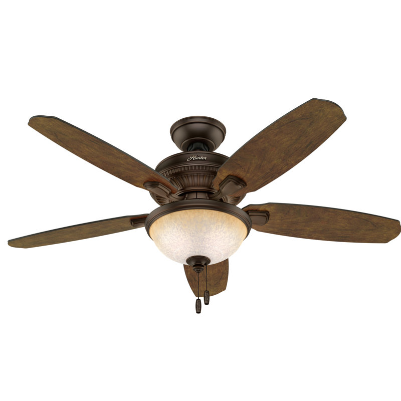 Hunter Fan 48 5 Blade Standard Ceiling Fan With Pull Chain Reviews Wayfair