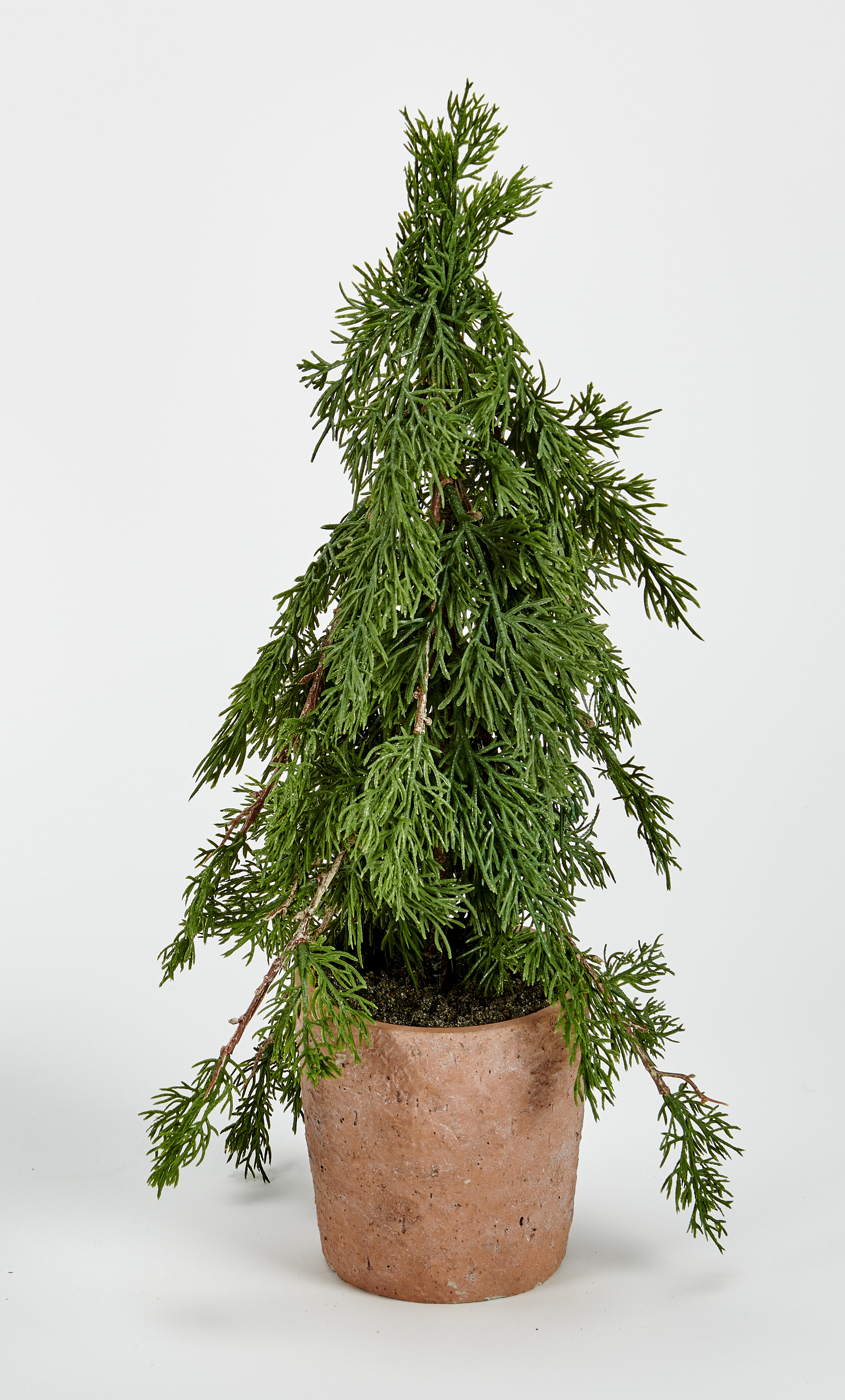 Primrue 18" Potted Artificial Cedar Tree Wayfair