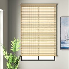 Two-Tone Oval Rollup Window Blinds Roller Shades 