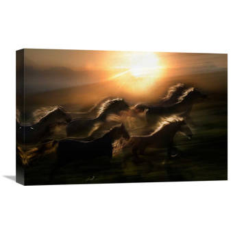 East Urban Home Echoing In Motion By Milan Malovrh Graphic Art Print Wayfair