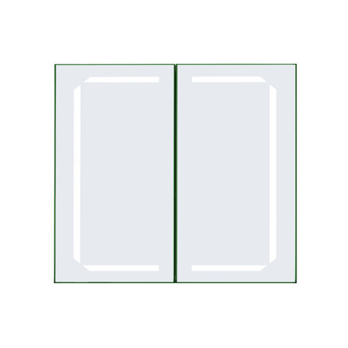Magdalena 65cm x 60cm Surface Mount Mirror Cabinet with LED Lighting Ivy Bronx