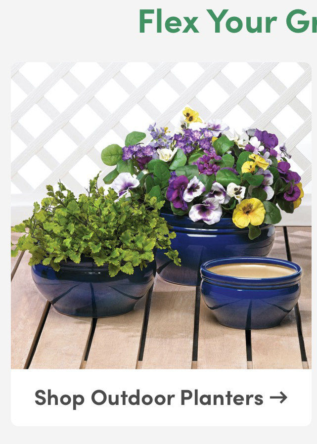 Shop Outdoor Planters