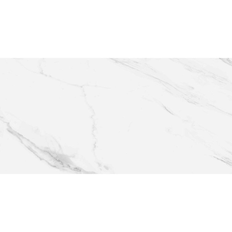 Cheyenne 12" x 24" Porcelain Marble Look Wall & Floor Tile