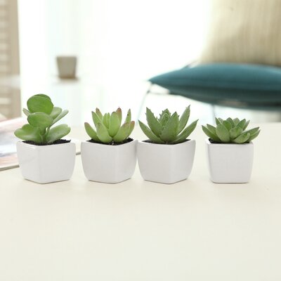 4 - Piece Artificial Succulent Plant in Pot Set