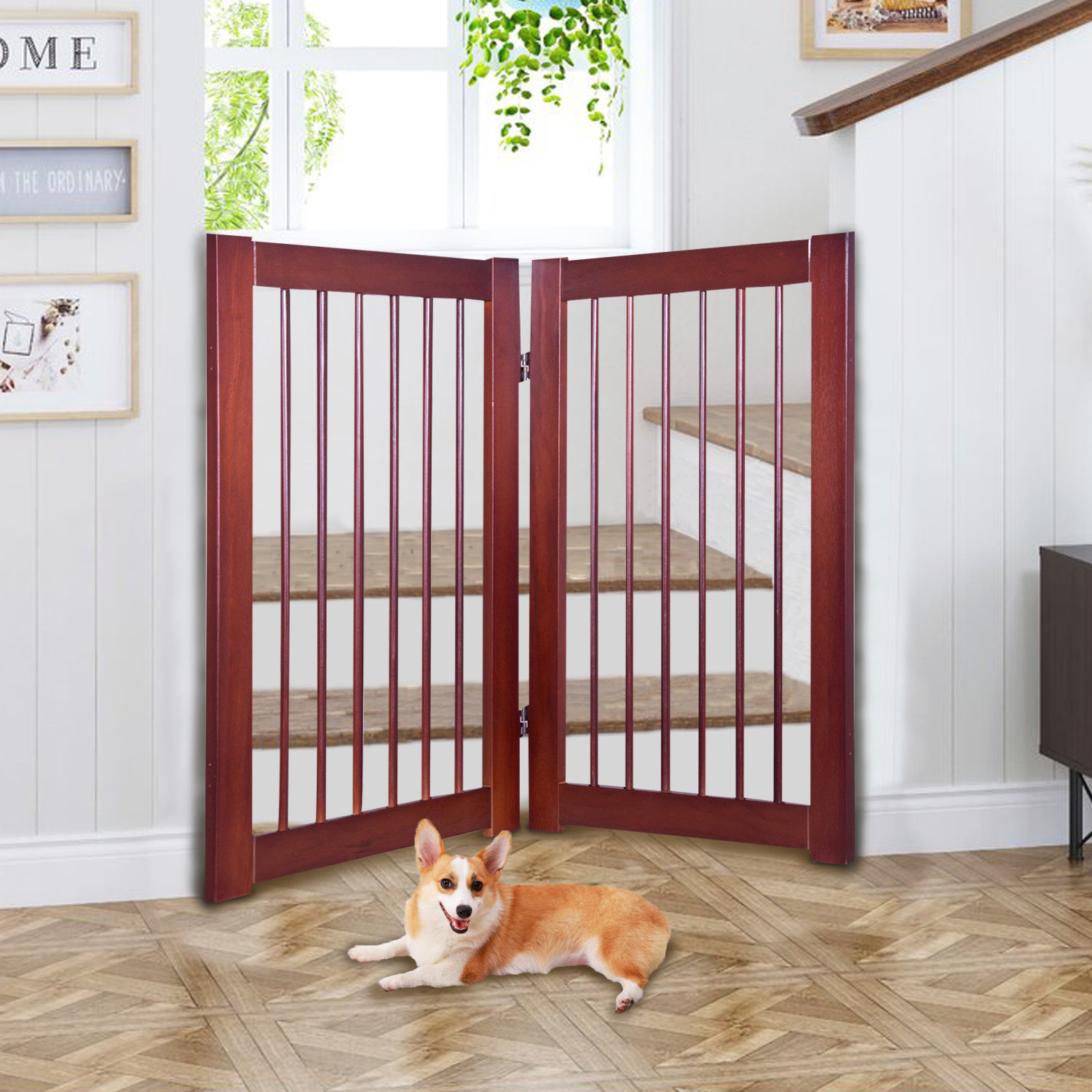 extending pet gate