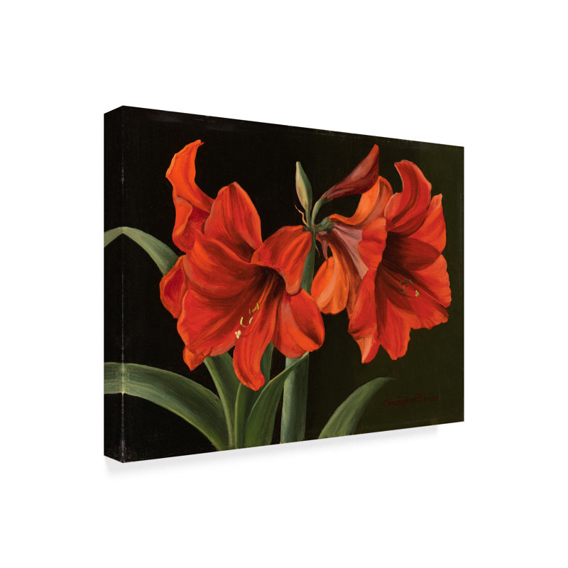 Charlton Home Amaryllis Red Flowers Acrylic Painting Print On
