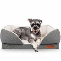small dog couch bed