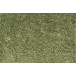 Luxury Shag Hand Tufted Light Green Area Rug