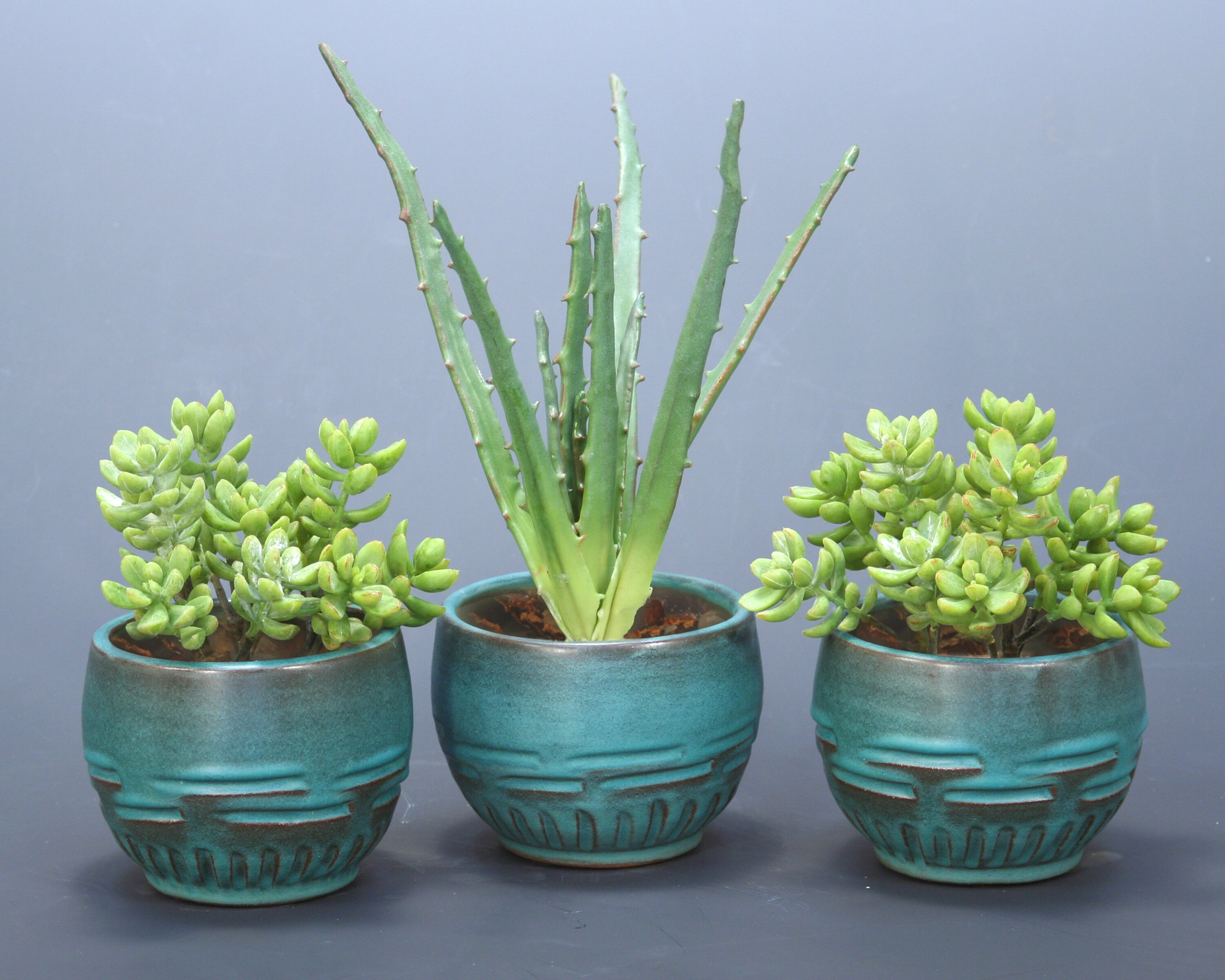 Pack of 4 Ceramic Potted Fake Desk Plant Premium Artificial Succulents in Pots