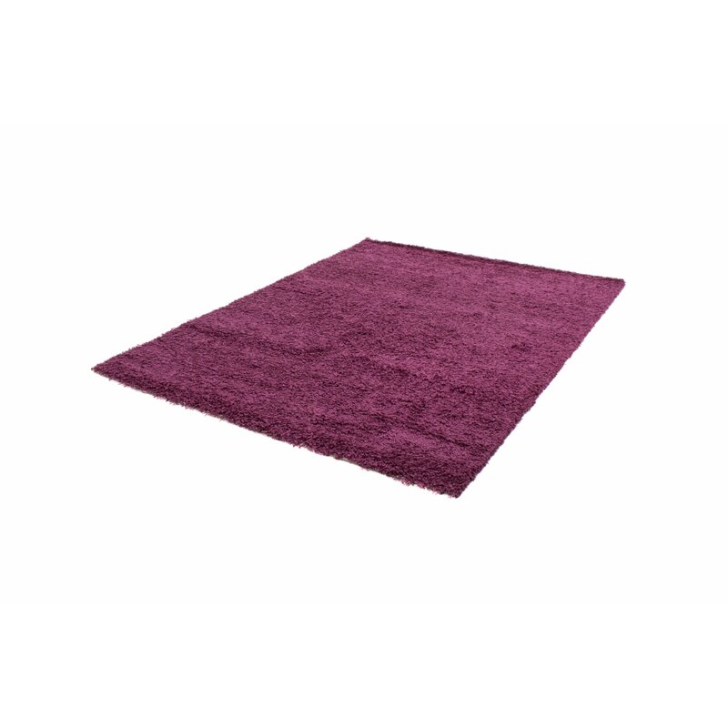 Brayden Studio Despina Shag Magenta Rug 