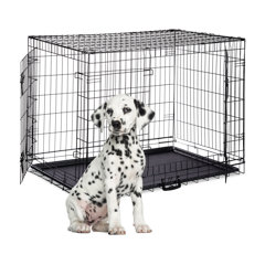 big dog crates cheap